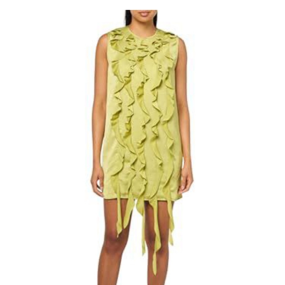 Baum und Pferdgarten Women's Asda Dress in Citron NWT